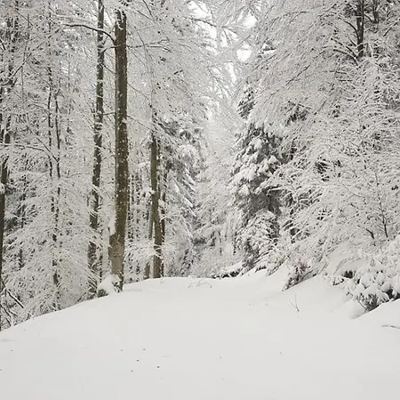 Hébergement de vacances L’atelier De Gustave *