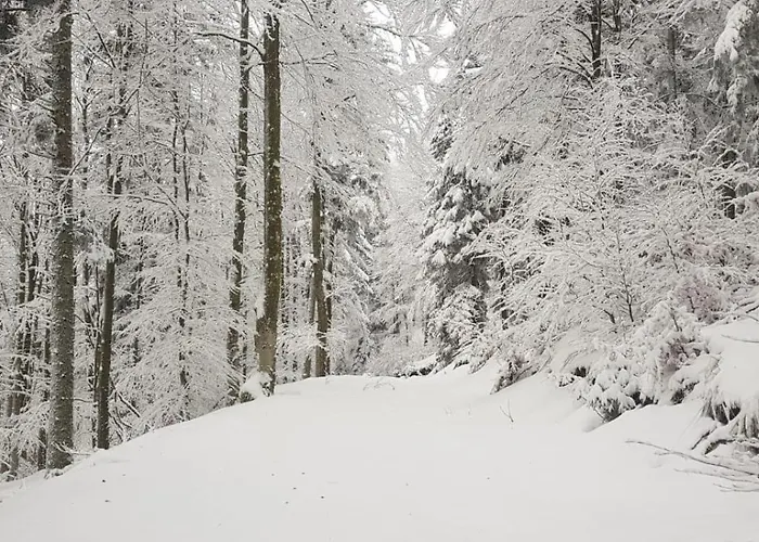 Prázdninový dům L'atelier De Gustave *