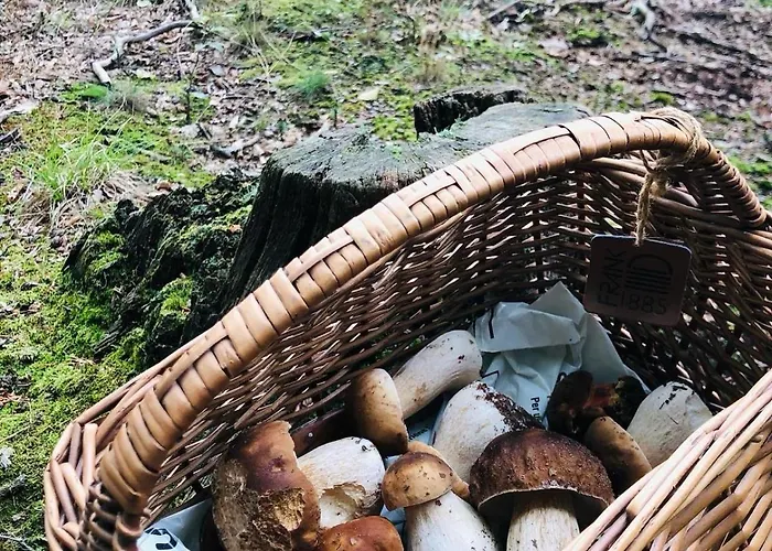 Prázdninový dům L'atelier De Gustave Soucht