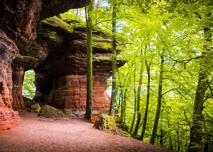 L'atelier De Gustave Soucht