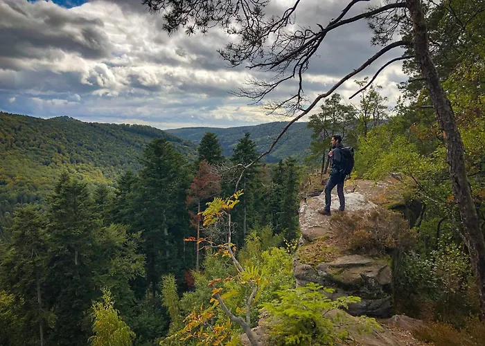 Prázdninový dům L'atelier De Gustave Soucht